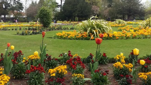 Abbey Gardens