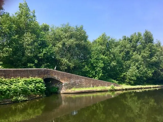 Bridge and trees