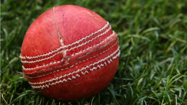 Cricket ball