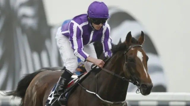 Highland Reel