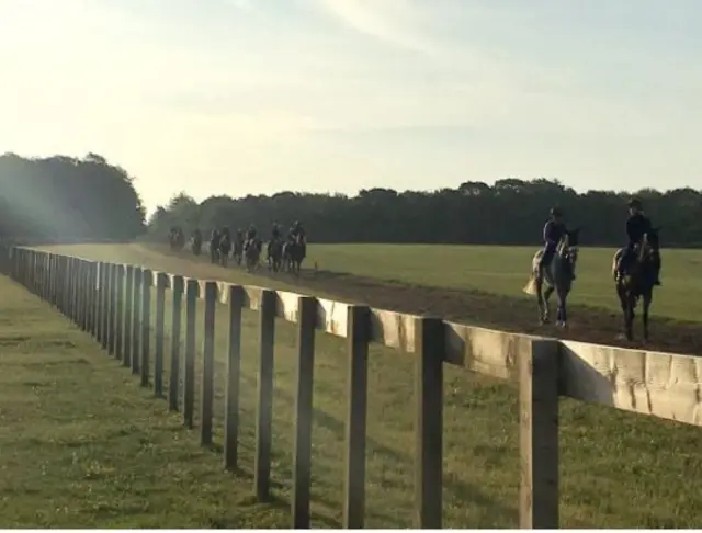 Race horses, Newmarket