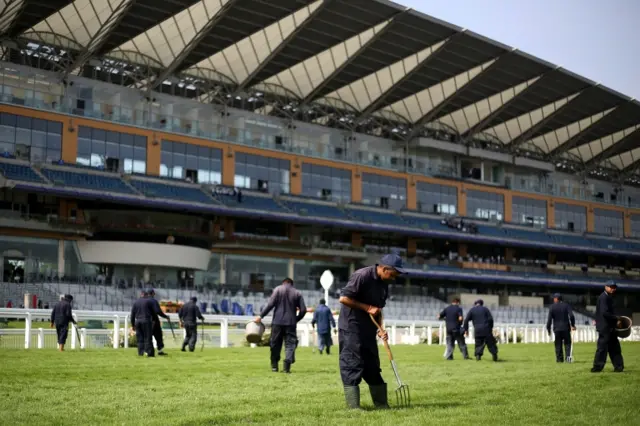 Staff preparing the ground at Ascot Racecourse