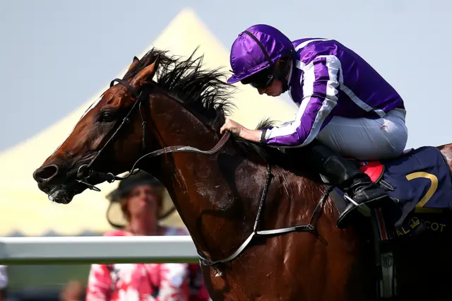 Highland Reel