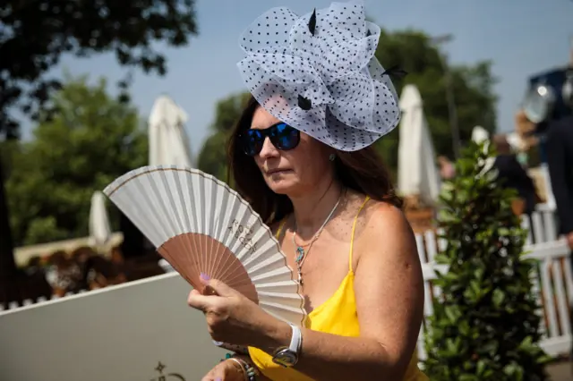 Ascot Fan