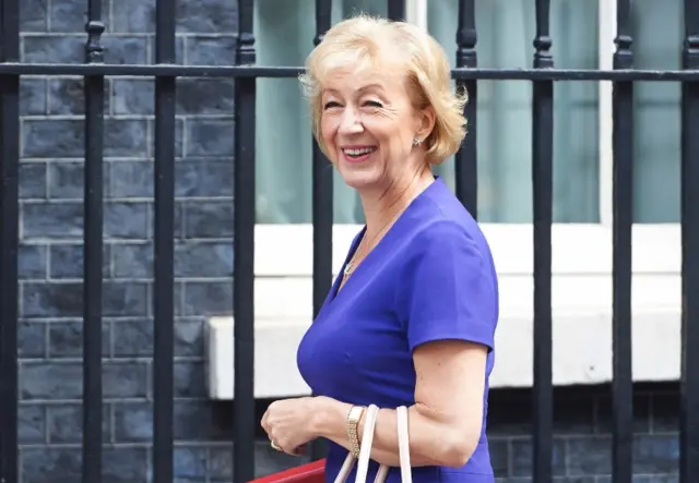 Andrea Leadsom