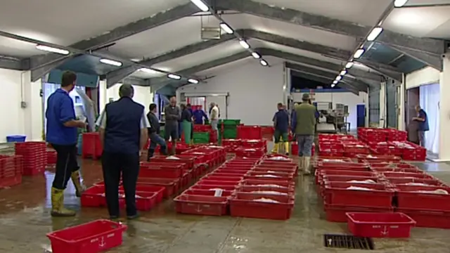 Newlyn Fish Market