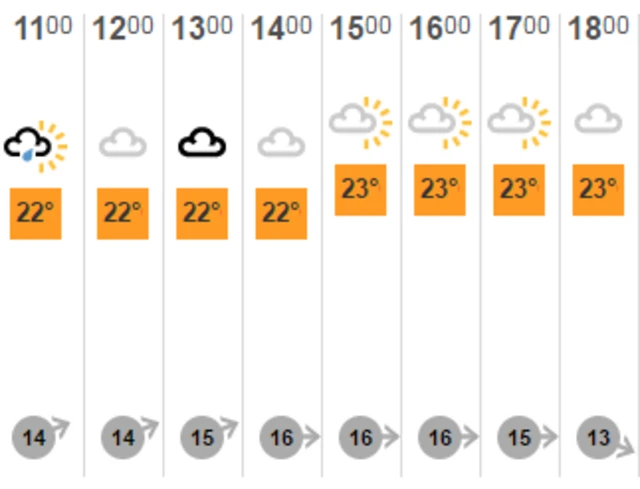 Chelmsford weather