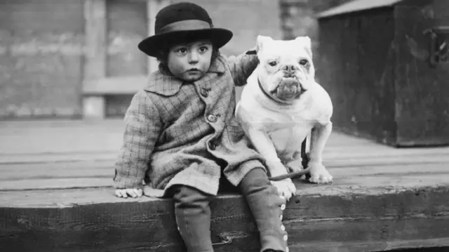Kid and dog