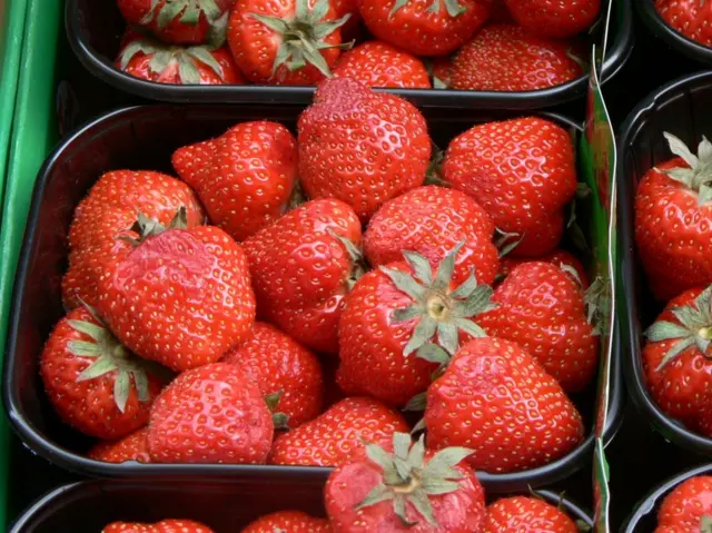 Strawberries in punnets