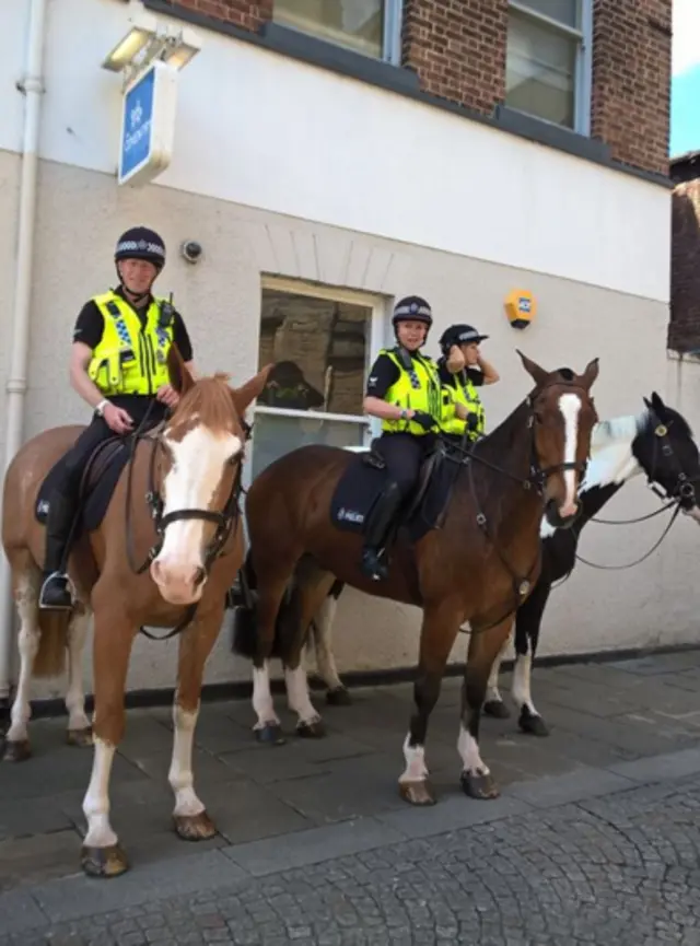 South Yorkshire Police horses