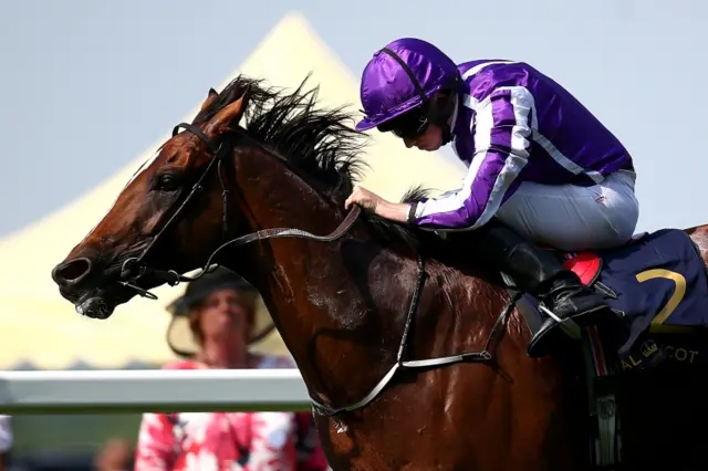 Highland reel