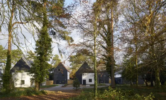 Housing development in woodland