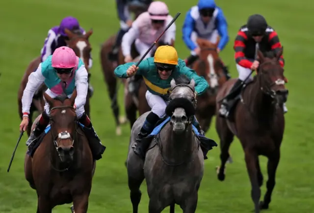 The grey Coronet wins at Ascot