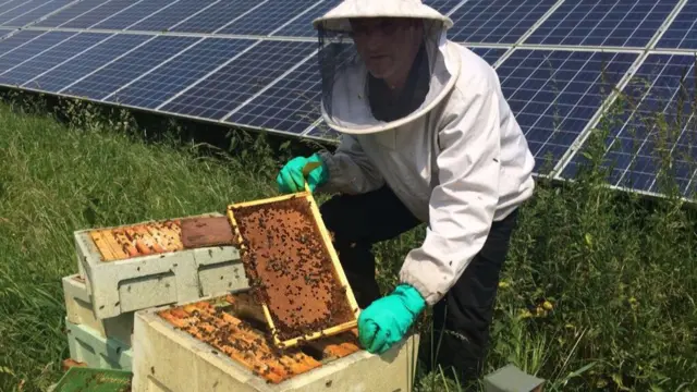 Pest Control Officer Graham Brakewell