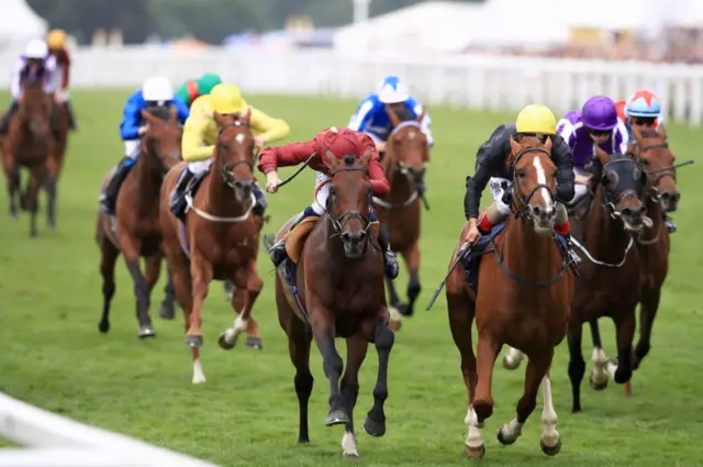 Stradivarius wins at Ascot