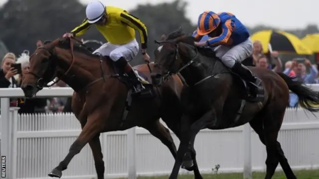 Horses at Ascot