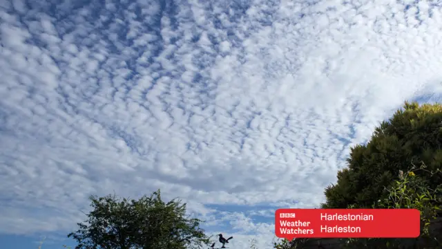 Harleston sky