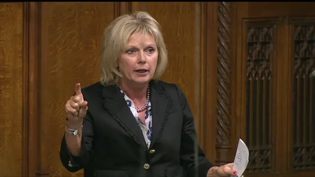 Anna Soubry