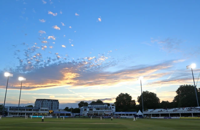 Chelmsford sunset