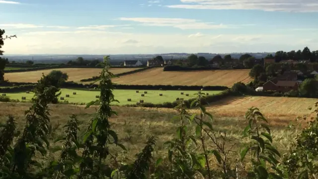 Fields near Kegworth