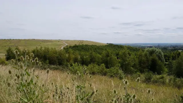 Gedling Country Park