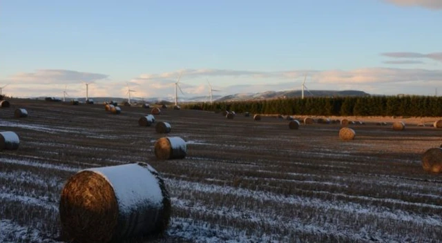 Field covered in frost