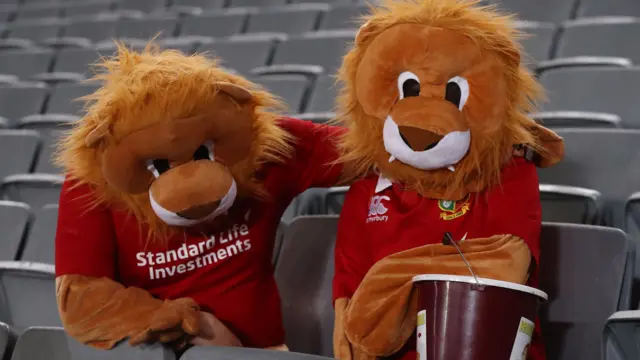 British and Irish Lions fans