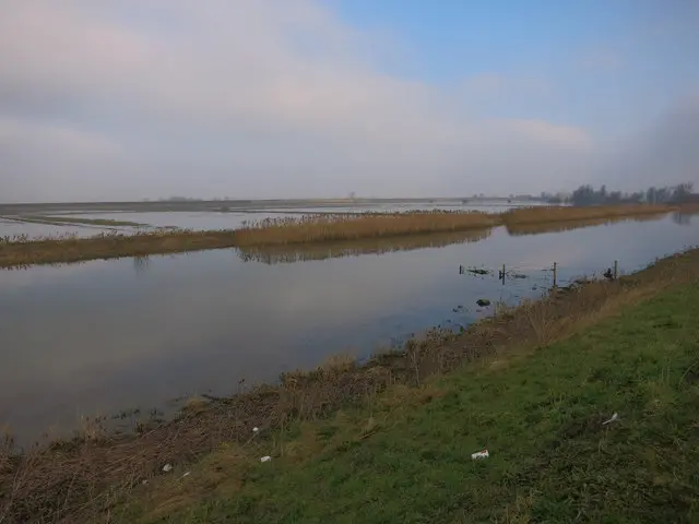 Chain Corner, Ouse Washes