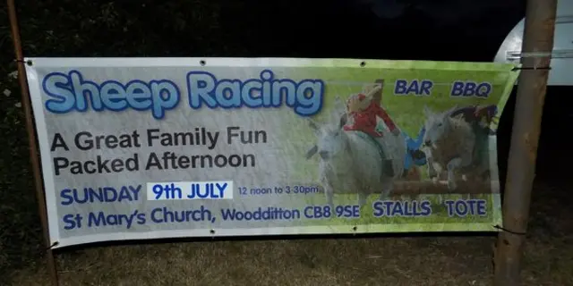 Sheep race poster