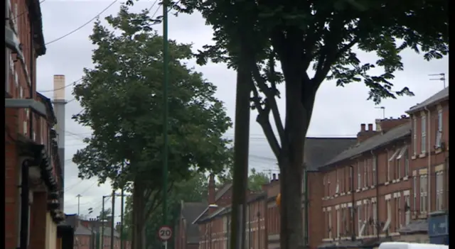 Trees in Sneinton Boulevard