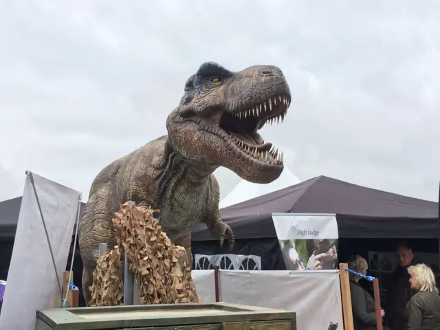 Dinosaur stall