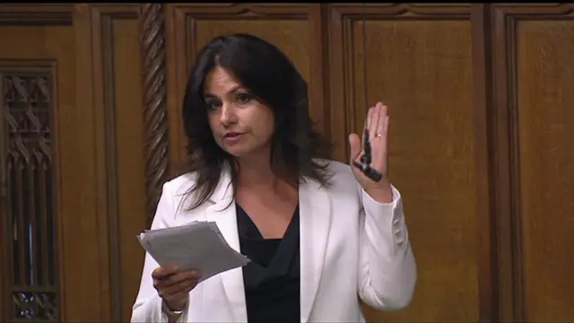 Heidi Allen