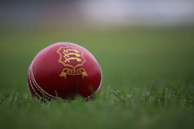 Cricket ball