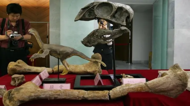 Fossil hunter Xu Xing discovered the remains of Gigantoraptor in 2007, which are on display in Beijing, China