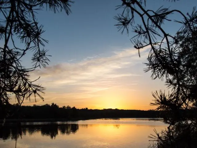 Lake in Messingham