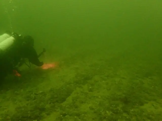 Divers say they have photographed the "plough tracks" on the sea bed caused by the dredger