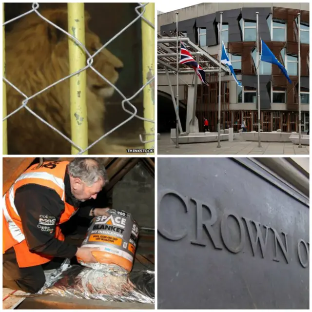 Lion, Holyrood flags at half mast, Crown Office and insualtion