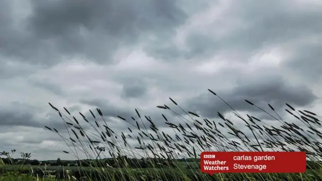 Cloudy skies in a field in Stevenage.