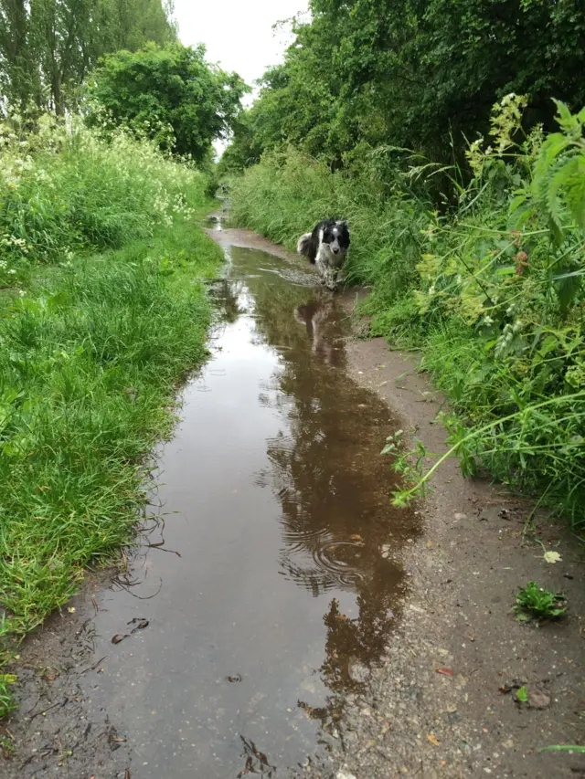 Clipstone weather