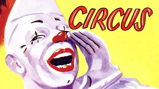 What is a circus