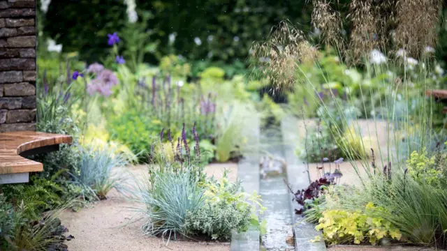 Garden at RHS Chatsworth