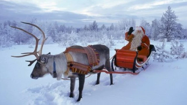Reindeer and Santa Claus