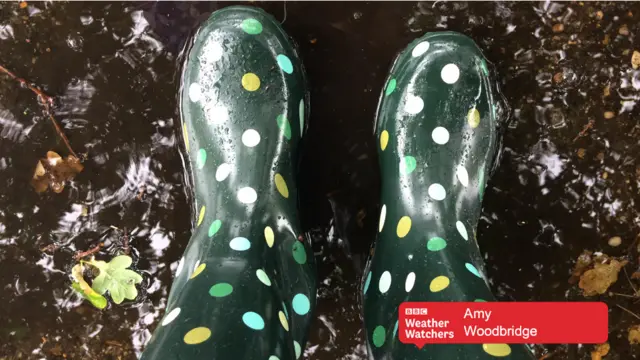 Pair of wellies