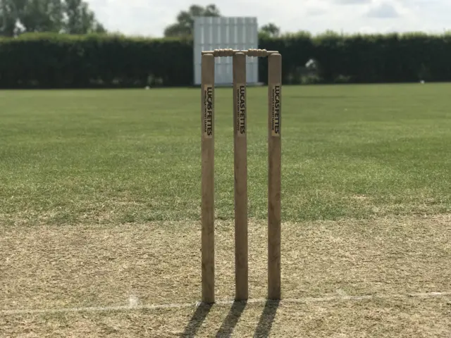 Cricket stumps