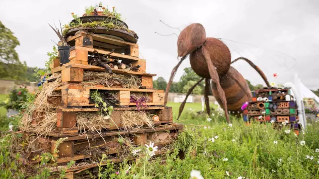 Garden with a giant ant in it at the RHS Chatsworth Show