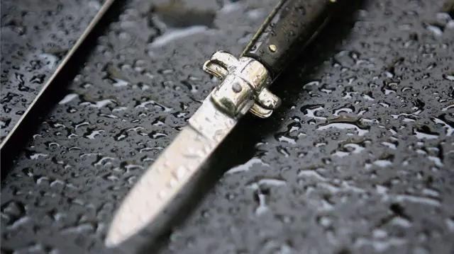 Flick knife