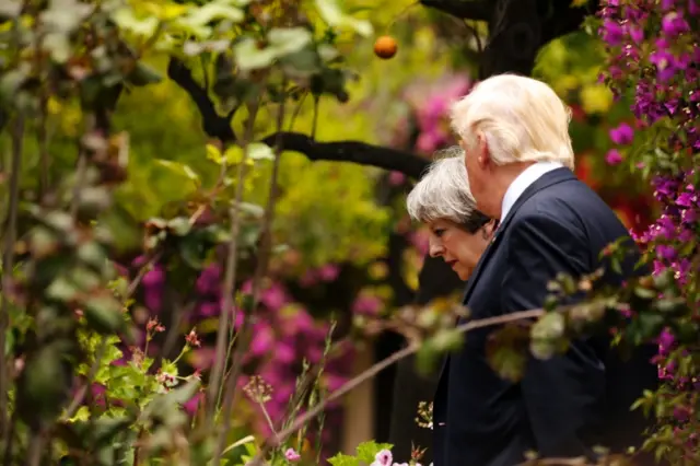 Theresa May and Donald Trump