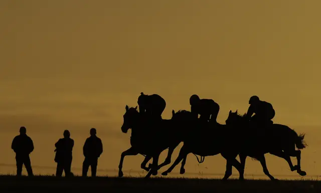 Newmarket Gallops