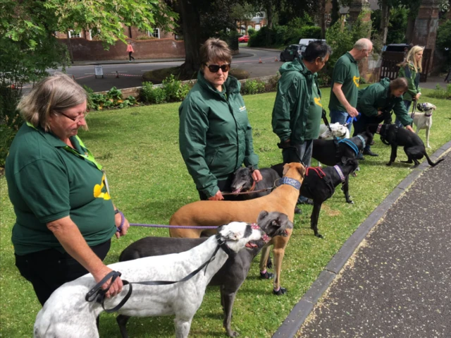 Dogs outside church