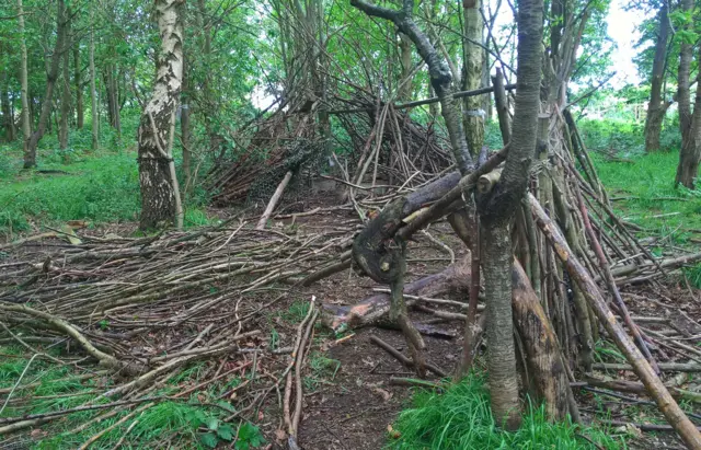 Woodland area damaged